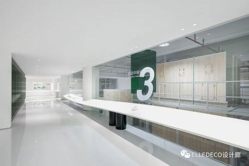 工廠與零售的共生 設計廊069與大犬建筑的沉浸式試驗場